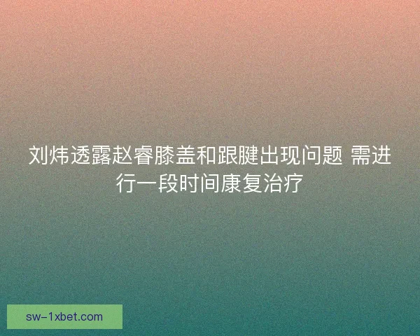 刘炜透露赵睿膝盖和跟腱出现问题 需进行一段时间康复治疗