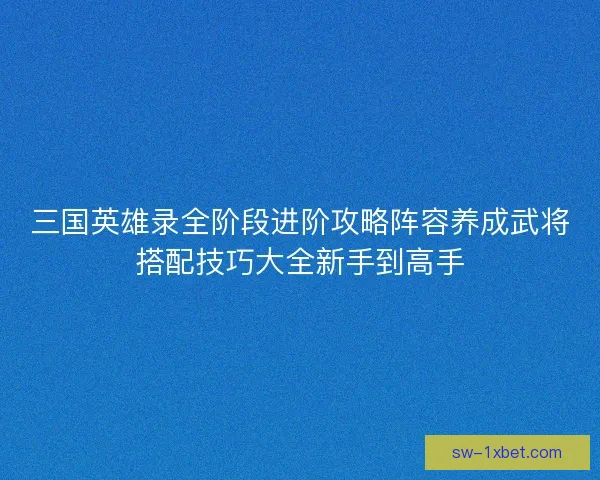三国英雄录全阶段进阶攻略阵容养成武将搭配技巧大全新手到高手 三国英雄录全阶段进阶攻略阵容养成武将搭配技巧大全新手到高手